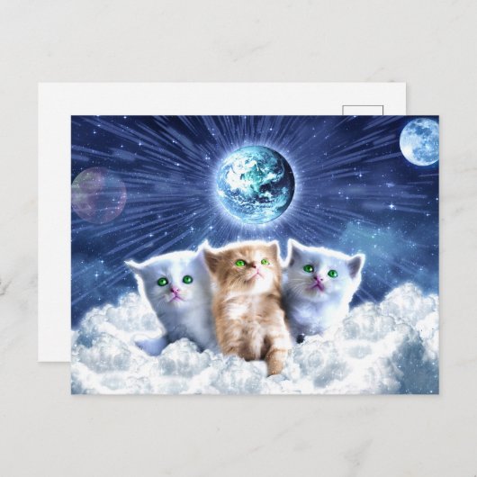 Carte Postale Chats dans le nuage (Devant / Derrière)
