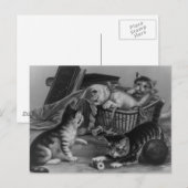 Carte Postale Chats dans le panier à coudre (Devant / Derrière)