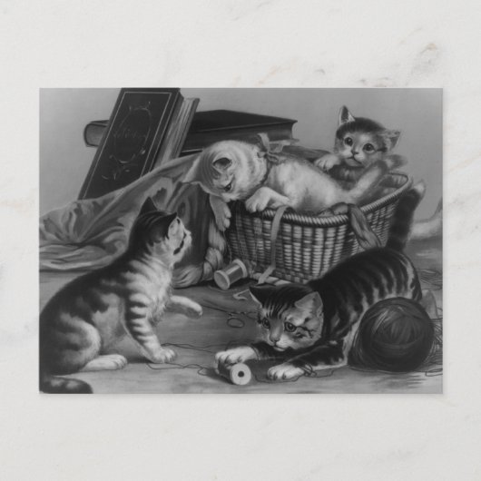 Carte Postale Chats dans le panier à coudre (Devant)