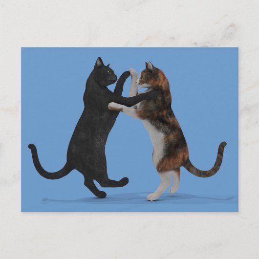 Carte Postale Chats dansants (Devant)