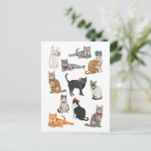 Carte Postale Chats Dapper (Debout devant)