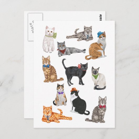 Carte Postale Chats Dapper (Devant / Derrière)