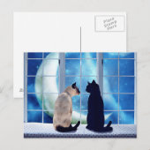 Carte Postale Chats de fenêtre (Devant / Derrière)