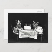 Carte Postale Chats de gâteau d'anniversaire mignons (Devant / Derrière)