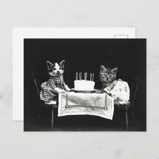 Carte Postale Chats de gâteau d'anniversaire mignons (Devant / Derrière)