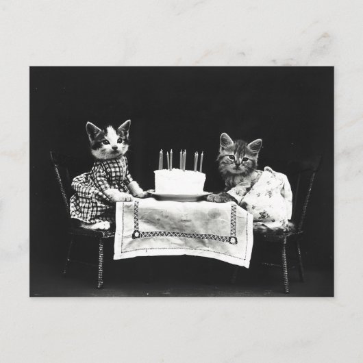 Carte Postale Chats de gâteau d'anniversaire mignons (Devant)