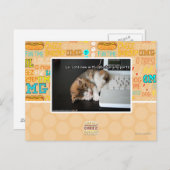 Carte Postale Chats de Lol avec USB (Devant / Derrière)