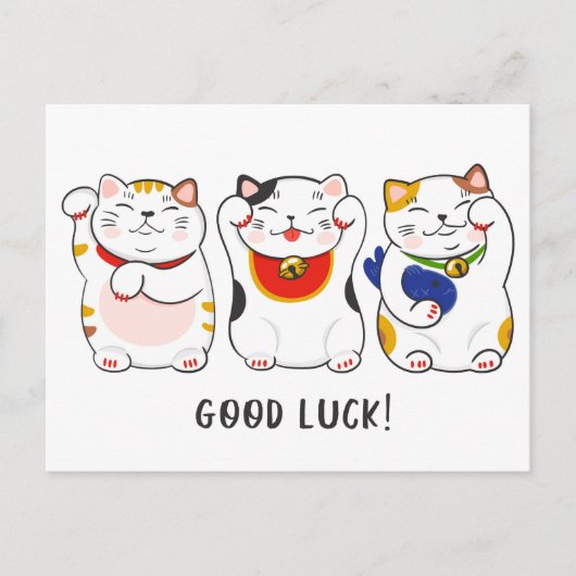 Carte Postale Chats de Maneki-neko (Devant)