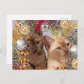 Carte Postale Chats de Noël Kittens (Devant / Derrière)