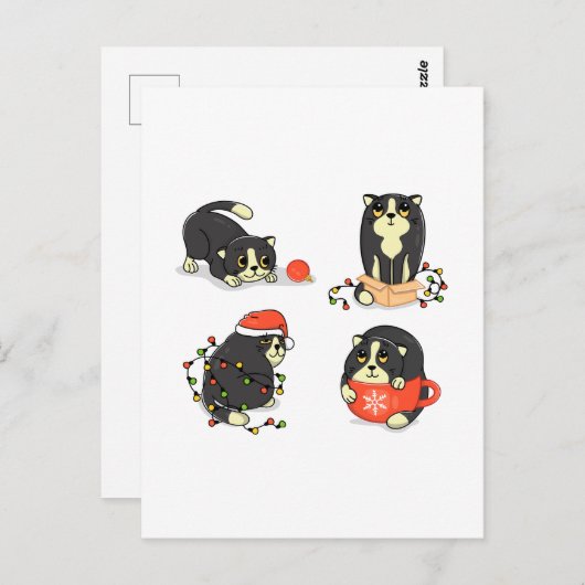 Carte Postale Chats de Noël mignons et amusants (Devant / Derrière)