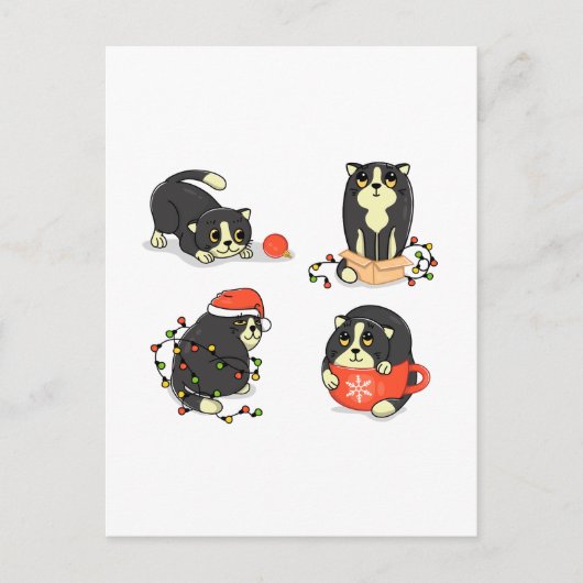 Carte Postale Chats de Noël mignons et amusants (Devant)
