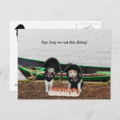 Carte Postale Chats de pirates amusants (Devant / Derrière)