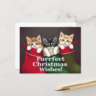 Carte Postale Chats de voeux de Noël