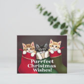 Carte Postale Chats de voeux de Noël (Debout devant)