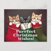 Carte Postale Chats de voeux de Noël (Devant)