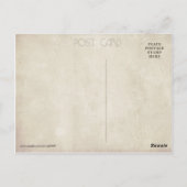 Carte Postale Chats d'Halloween (Dos)