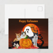 Carte Postale Chats d'Halloween dans un cimetière avec fantôme / (Devant / Derrière)