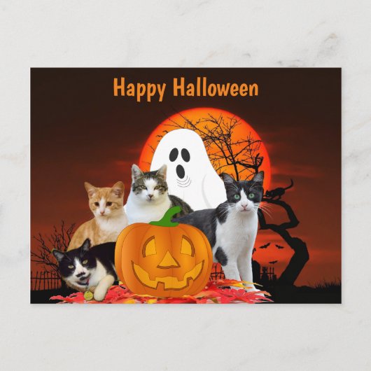 Carte Postale Chats d'Halloween dans un cimetière avec fantôme / (Devant)
