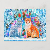 Carte Postale Chats d'hiver (Devant)