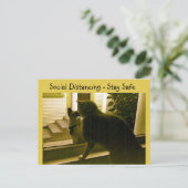 Carte postale - Chats distanciation sociale (Debout devant)