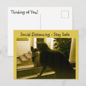 Carte postale - Chats distanciation sociale (Devant / Derrière)