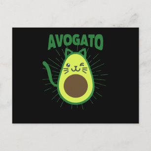 Carte Postale Chats drôles de Cinco De Mayo Mexicains Miaou Chat