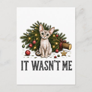Carte Postale Chats drôles de Devon Rex Noël C'était pas moi