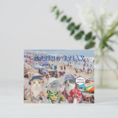 Carte Postale Chats drôles sur la coupure de ressort (Debout devant)