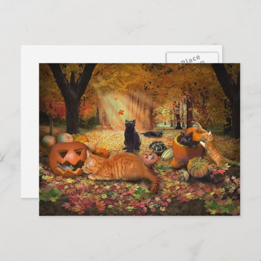 Carte Postale Chats en automne (Devant / Derrière)