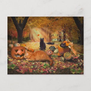 Carte Postale Chats en automne