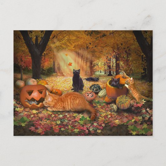 Carte Postale Chats en automne (Devant)