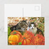 Carte Postale Chats et Citrouilles de la saison des chutes (Devant / Derrière)