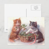Carte Postale Chats et Gui (Devant / Derrière)