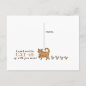 Carte Postale Chats et poulets amusants, rien que l'enregistreme (Dos)