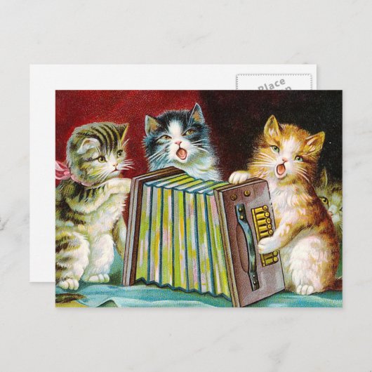 Carte Postale "Chats et une Squeezebox" (Devant / Derrière)