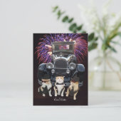 Carte Postale Chats frais (Debout devant)