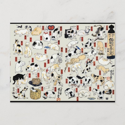 Carte Postale Chats Galore (Devant)