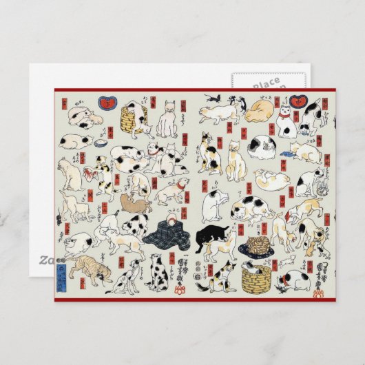 Carte Postale Chats Galore (Devant / Derrière)