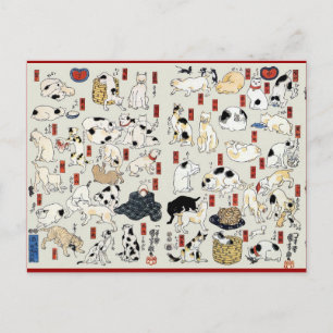 Carte Postale Chats Galore