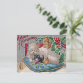 Carte Postale Chats & Holly (Debout devant)