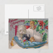 Carte Postale Chats & Holly (Devant / Derrière)