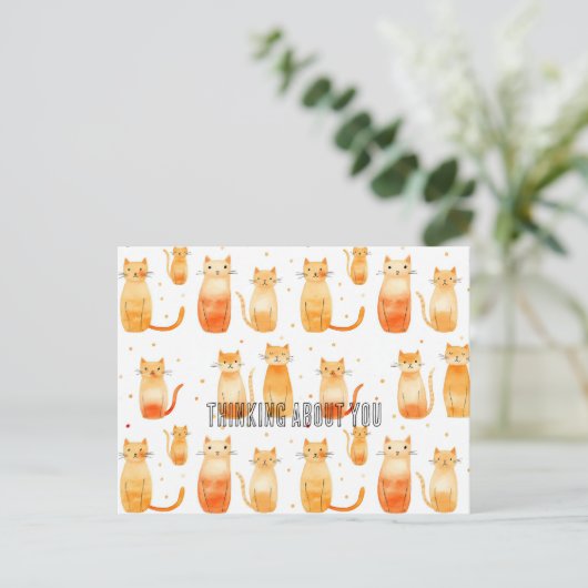 Carte Postale Chats Kitty Orange (Debout devant)