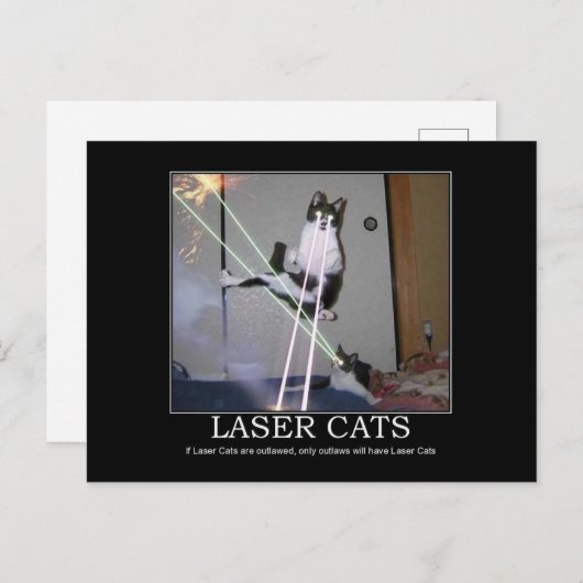 Carte postale Chats laser (Devant / Derrière)