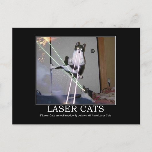 Carte postale Chats laser (Devant)