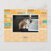 Chats Lol avec USB