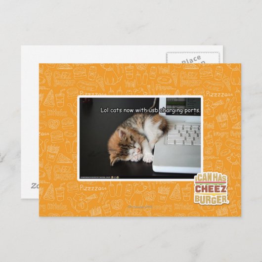 Carte Postale Chats Lol avec USB (Devant / Derrière)