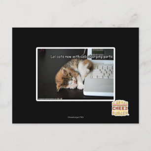 Carte Postale Chats Lol avec USB