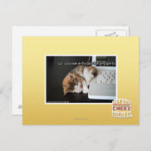 Carte Postale Chats Lol avec USB (Devant / Derrière)