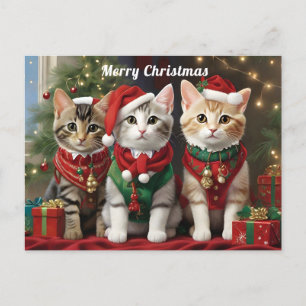 Carte Postale Chats mignons avec chapeaux de Père Noël Whimsical