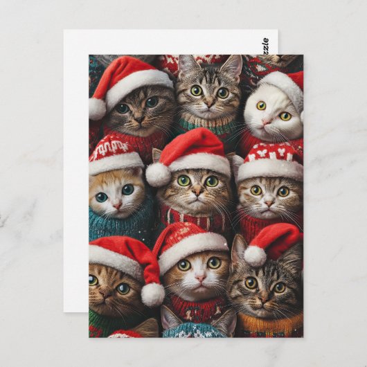 Carte Postale Chats mignons en chapeaux de Noël Animaux de Noël (Devant / Derrière)